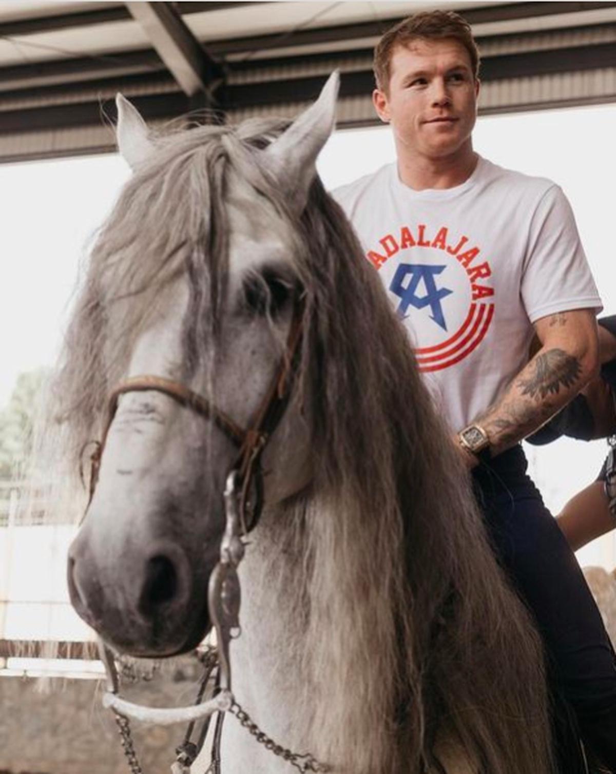  | Canelo Álvarez con uno de sus caballos FOTO IG canelo